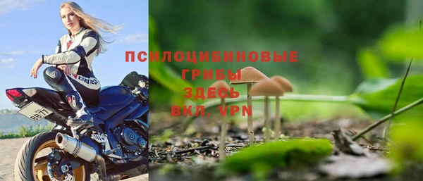 амф Михайловск