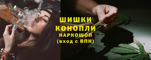 дживик Михайлов