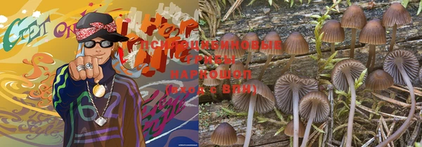дживик Михайлов