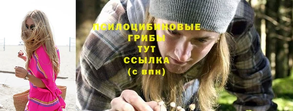 дживик Михайлов
