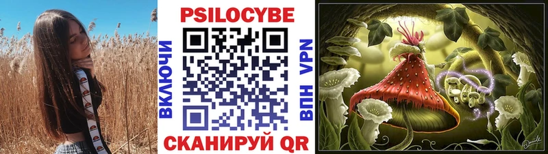 Псилоцибиновые грибы GOLDEN TEACHER  Арзамас 