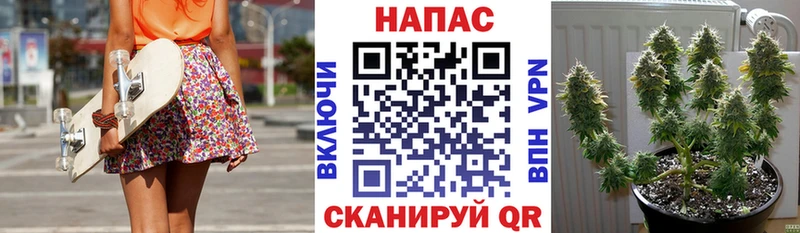 Бошки Шишки план что такое Арзамас